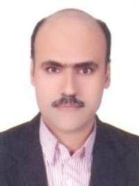 حمید حسن لی